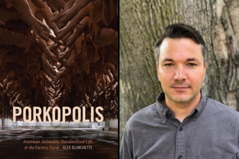 Collage of headshot of Dr. Alex Blanchette and book jacket for "Porkopolis: American Animality, Standardized Life, and the Factory Farm" 