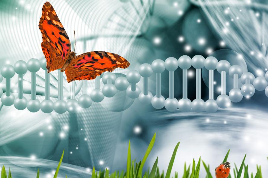 Butterfly flying with DNA images in background