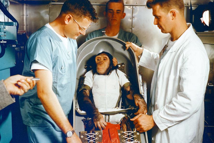 Chimp with scientists