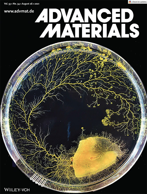 Publication cover: Advanced Materials (2021)