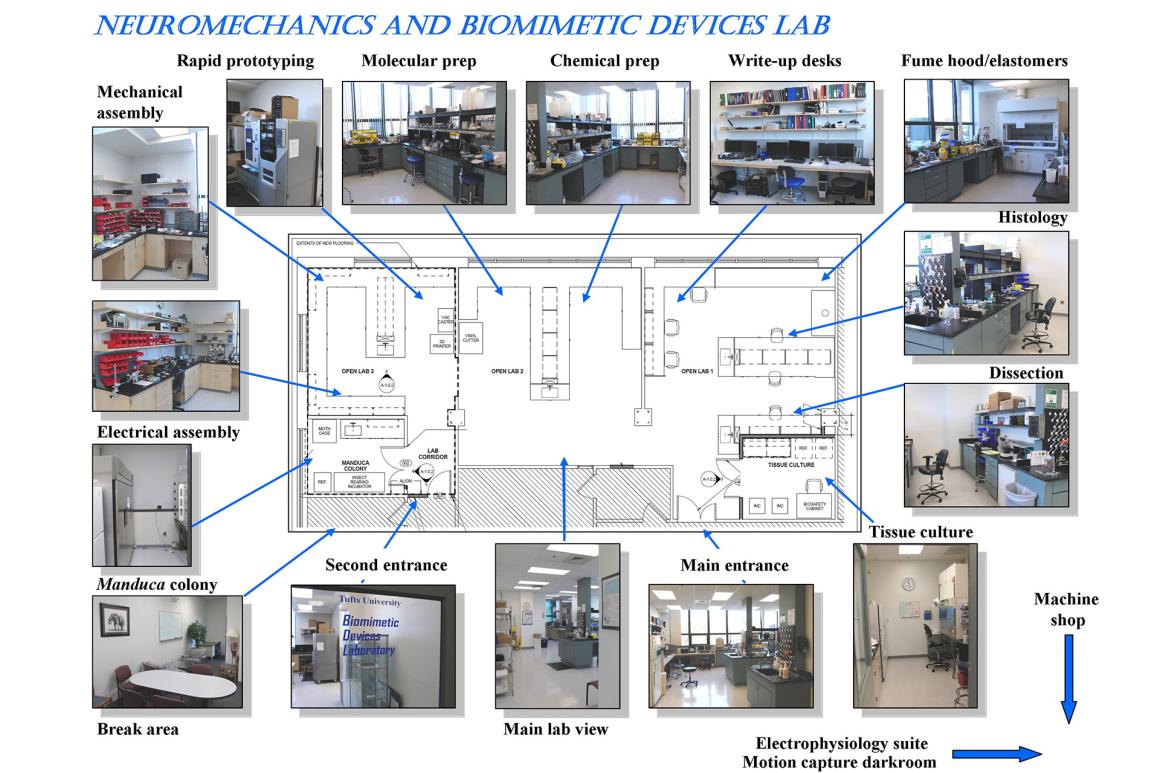 Trimmer lab diagram of equipment