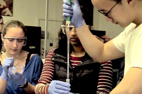 Students wearing goggles in a laboratory are engaged in a scientific experiment.