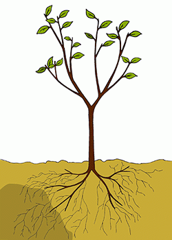 Illustration of simple tree