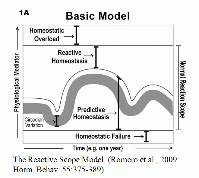Reactive diagram