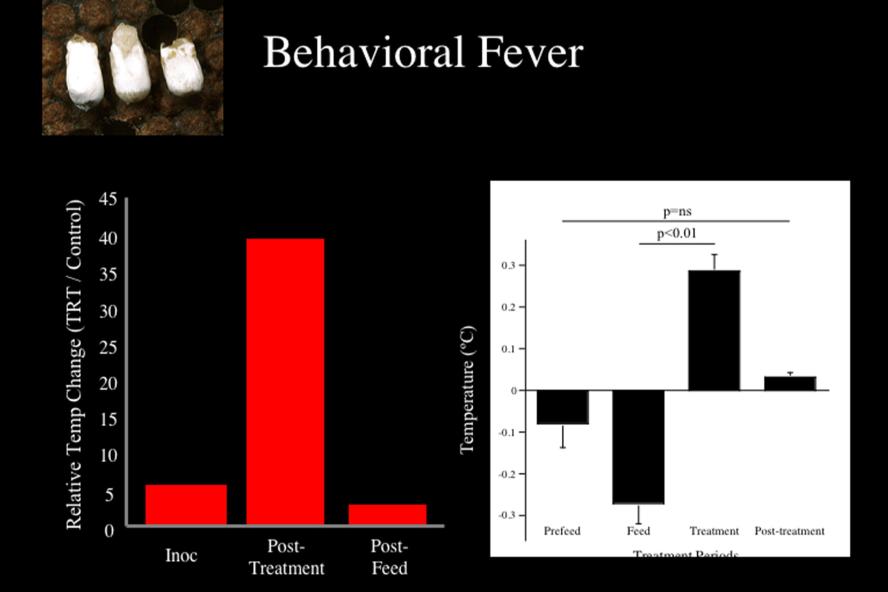 Behavioral fever diagram