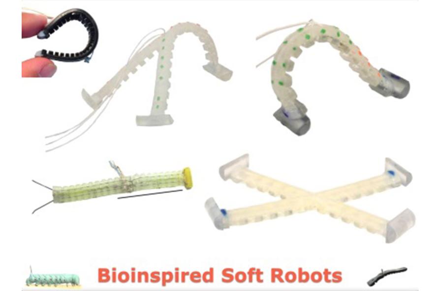 Bioinspired soft robots