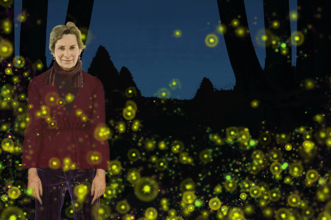An illustration of Sara Lewis in a field of twinkling fireflies