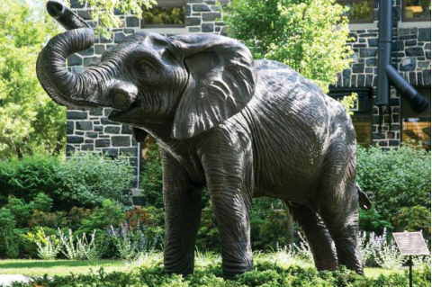 Tufts University's Jumbo statue