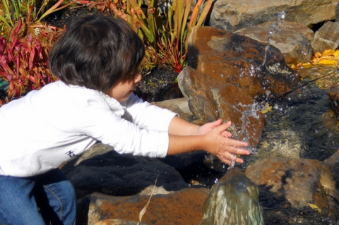child with hands in stream water