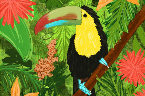 Illustration of a toucan in a tropical jungle