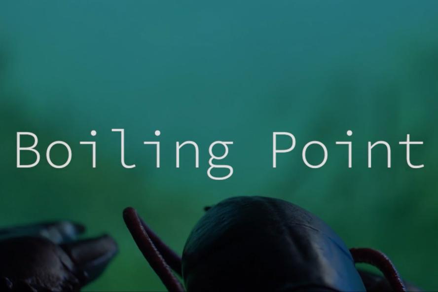 Student film title film called "Boiling Point"