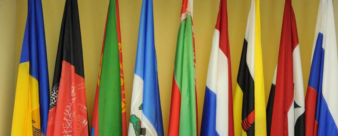 Nine flags from various countries