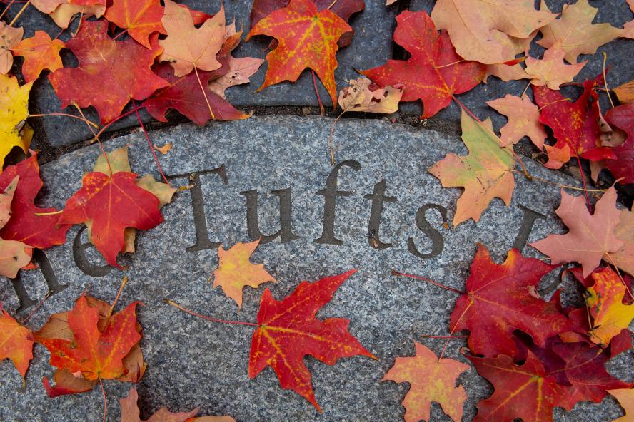 Tufts lettering surrounded by Fall leaves