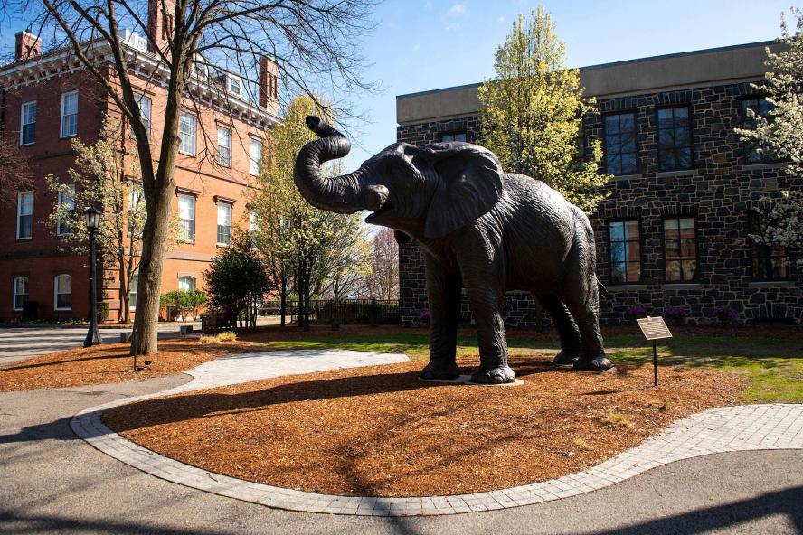 Statue of Jumbo the Elephant, on campus of Tufts University