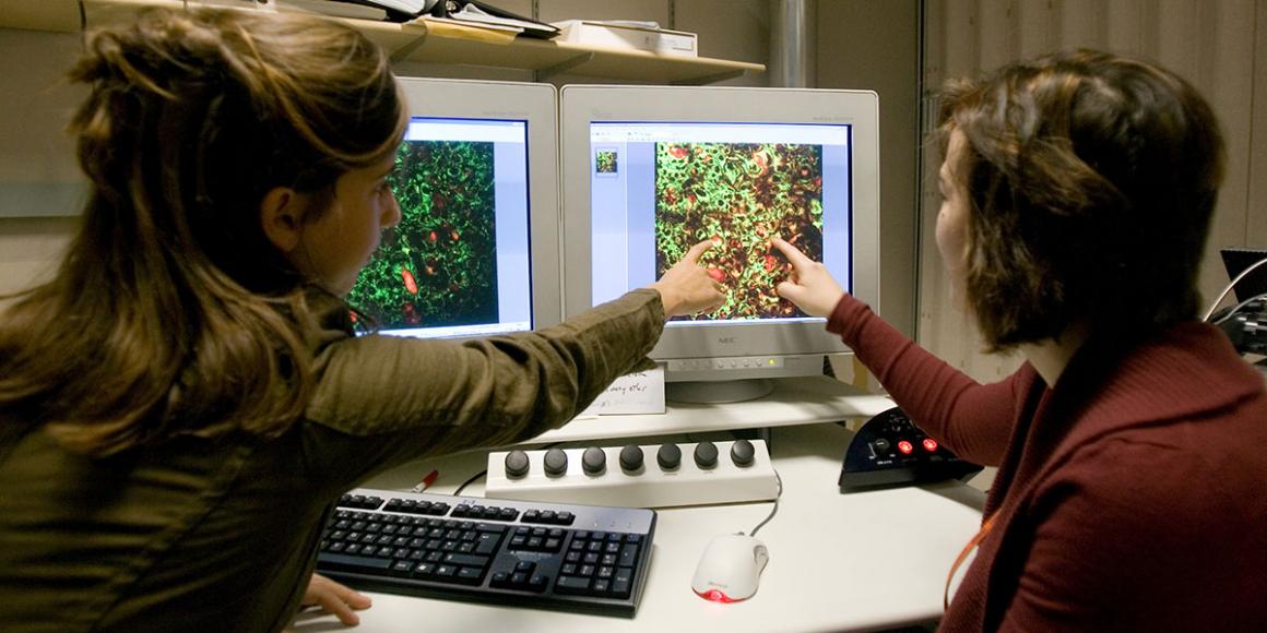 Two scientists pointing at computer monitors.