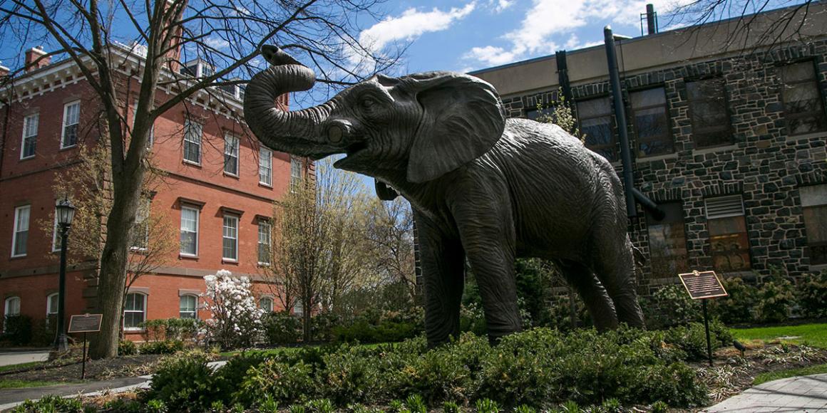 Elephant statue at Tufts.