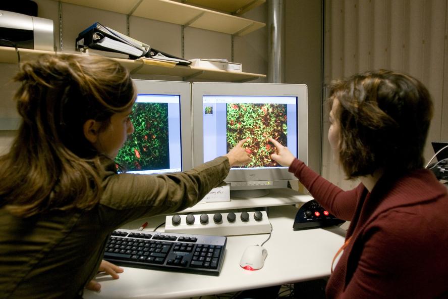 Two scientists pointing at computer monitors.