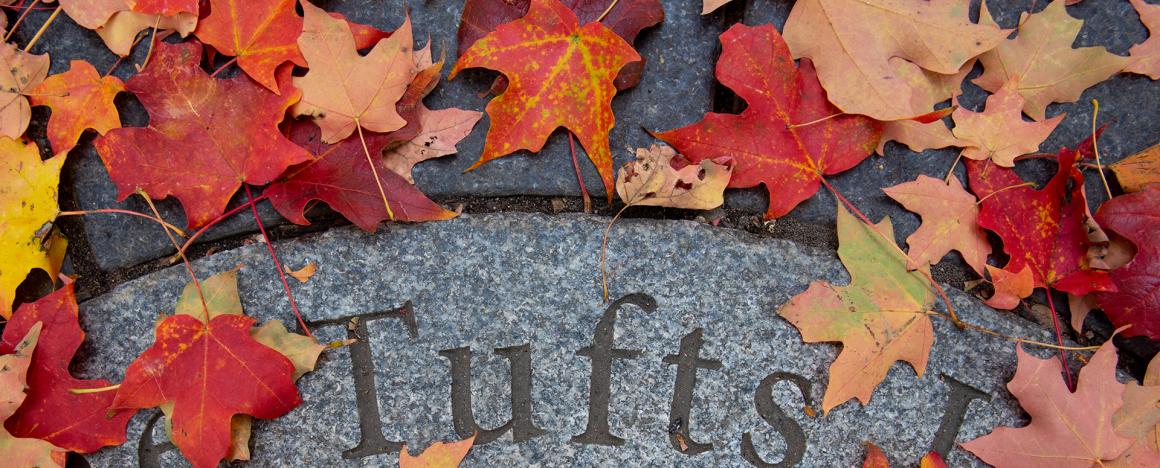 Leaves on the Tufts sign