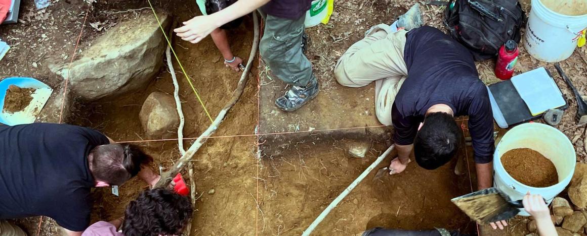 Archaeological dig