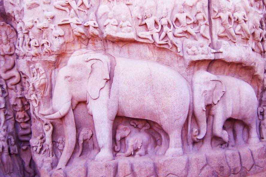 Elephant carvings