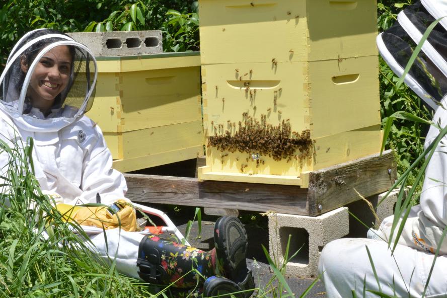 Student in a bee keeper suit surrounded by bees