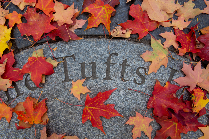 Leaves on the Tufts sign