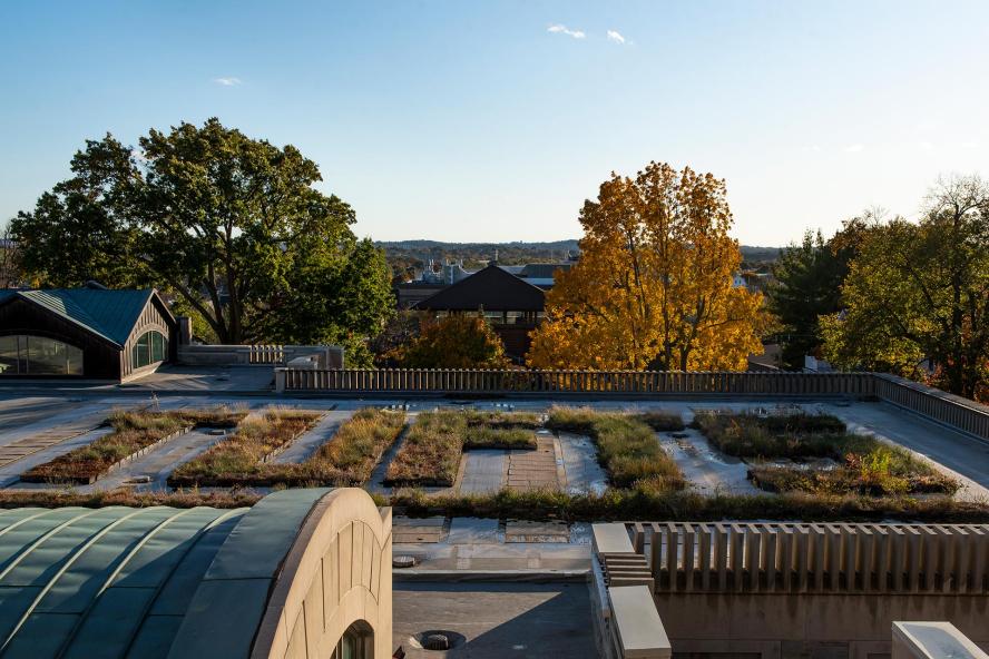 Plantings on the Tisch Library roof spell out "Tufts"