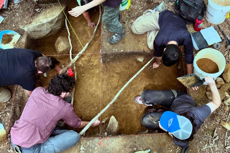 Archaeological dig