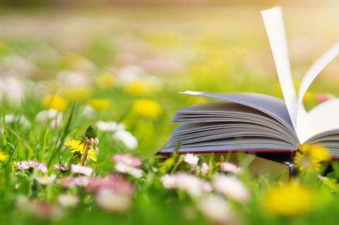 an open book on a field of grass and flowers