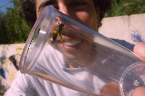 A bee in a clear glass held in front of Nick Dorian