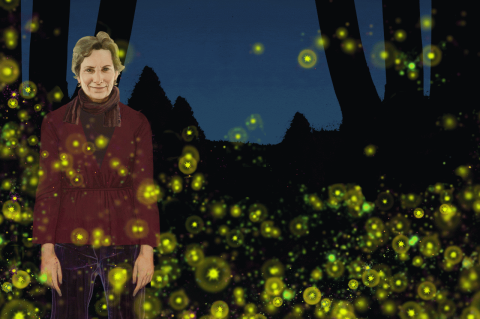 An illustration of Sara Lewis in a field of twinkling fireflies. 